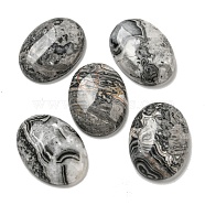 Natural Map Stone Cabochons, Oval, 30x21.5~22x5~8.5mm(G-C115-01B-48)