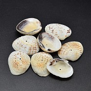 Dyed Natural Shell Beads, Lemon Chiffon, 32~37x20~29x8~10mm, Hole: 1mm, about 100pcs/500g(BSHE-O007-54D)