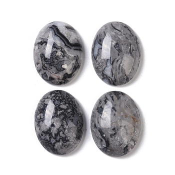 Natural Map Stone Cabochons, Oval, 20~20.8x15~15.5x5.8~6.5mm