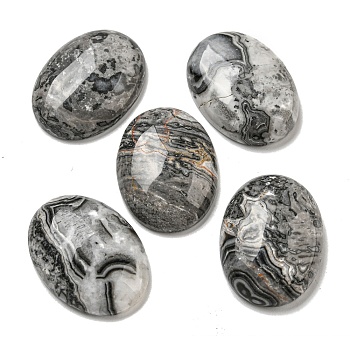Natural Map Stone Cabochons, Oval, 30x21.5~22x5~8.5mm