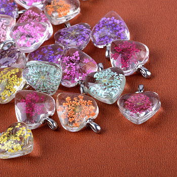 Heart Alloy Glass Pendants, Cadmium Free & Lead Free, with Dried Flower Inside, Platinum, 27~28x20x11~12mm, Hole: 4.5x2.5mm
