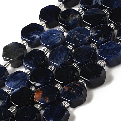 Natural Sodalite Beads Strands, Hexagon, with Seed Beads, 8.5~9x8.5~10x4~5mm, Hole: 1mm, about 17~18pcs/strand, 7.48''(19cm)(G-P534-A11-01)
