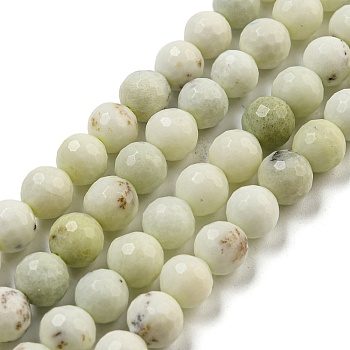 Natural Dendritic Jasper Beads Strands, (128 Facets)Faceted, Round, Round, 8mm, Hole: 1mm, about 45pcs/strand, 14.57 inch(37cm)