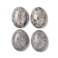 Natural Maifanite Cabochons, Oval, 20~20.8x15~15.5x5.8~6.5mm(G-B080-01A-12)