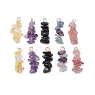 10Pcs 5 Colors 12 Constellation Natural Citrine & Natural Obsidian & Fluorite & Amethyst & Strawberry Quartz Pendants, Chip Charms with 304 Stainless Steel Loops, Golden & Stainless Steel Color, Pisces, 22~24x8~10x7~9mm, Hole: 2.5~3mm, 2pcs/color(PALLOY-JF02839-02)