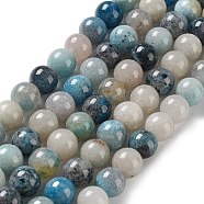 Natural Trolleite Beads Strands, Round, 8mm, Hole: 0.7mm, about 49pcs/strand, 15.75 inch(40cm)(G-NH0002-B01-02)