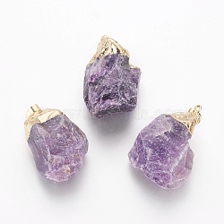 Natural Amethyst Pendants, with Brass Findings, Nuggets, Golden, 30.5~38x20~30x14~21.5mm, Hole: 5x8mm(G-O169-01B-03G)