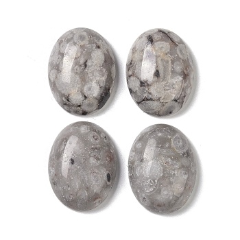 Natural Maifanite Cabochons, Oval, 20~20.8x15~15.5x5.8~6.5mm