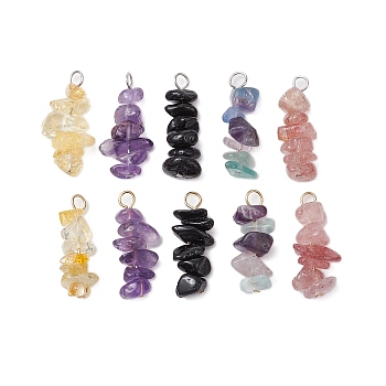 10Pcs 5 Colors 12 Constellation Natural Citrine & Natural Obsidian & Fluorite & Amethyst & Strawberry Quartz Pendants, Chip Charms with 304 Stainless Steel Loops, Golden & Stainless Steel Color, Pisces, 22~24x8~10x7~9mm, Hole: 2.5~3mm, 2pcs/color