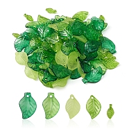 100Pcs 5 Style Transparent Acrylic Pendants, Leaf, Mixed Color, 10.5~20x5~13x1.5~4mm, Hole: 1.4~2mm, 20pc/style(MACR-YW0002-63)