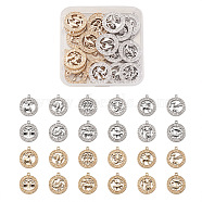 Fashewelry 2 Sets 2 Colors Zinc Alloy Jewelry Pendant Accessories, Flat Round with Twelve Constellations, Platinum & Light Gold, Mixed Color, 20x20mm, Hole: 2mm, 12 constellations, 1pc/constellation, 12pcs/set, 1set/color(FIND-FW0001-06)
