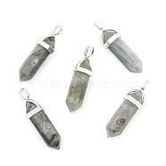 Natural Labradorite Double Terminated Pointed Pendants, with Random Alloy Pendant Hexagon Bead Cap Bails, Bullet, Platinum, 37~40x12mm, Hole: 3mm(G-F295-05N)