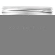 2 Rolls Matte Aluminum Wire, Round, with Spool, Silver, 1.2mm, about 52.49 Feet(16m)/Roll(AW-SC0001-01)