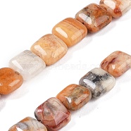 Natural Crazy Lace Agate Beads Strands, Square, 8.5x8.5x5mm, Hole: 1.6mm, about 50pcs/strand, 16.34''(41.5cm)(G-M435-A04-01)