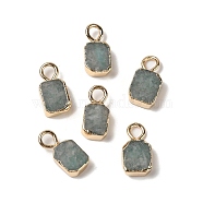 Natural Amazonite Rectangle Charms, with Golden Tone Brass Edge, 9.5x5x2.5mm, Hole: 2mm(G-Q169-07G-08)