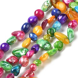 Natural White Shell Beads Strands, Dyed, Nuggets Chips, Colorful, 5~19.5x5~10.5x3.5~6mm, Hole: 0.8mm, about 54pcs/strand, 14.80 inch(37.6cm)(BSHE-G029-03)