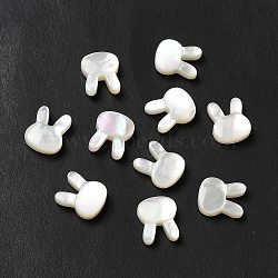 Natural White Shell Beads, Rabbit, Seashell Color, 12x10x4mm, Hole: 0.7mm(BSHE-E026-05)