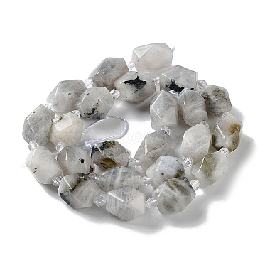 Natural Labradorite Beads Strands(G-C182-25-01)-3