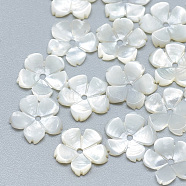 Natural White Shell Beads, Mother of Pearl Shell Beads, Flower, Seashell Color, 10x10x1.5mm, Hole: 1mm(SSHEL-S260-009)