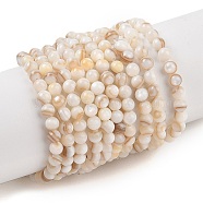 Natural Freshwater Shell Beads Strands, Round, Seashell Color, 3mm, Hole: 0.5mm, about 115pcs/strand, 14.41''(36.6cm)(SHEL-T011-02-3mm)