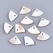 Natural Freshwater Shell Charms, Fan, Seashell Color, 10x14.5x2mm, Hole: 1.5mm(SHEL-S276-113)