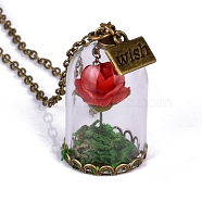 Glass Dried Flower Wishing Bottle Pendant Necklace, with Antique Bronze Alloy Cable Chains, Red, 23.62 inch(60cm)(PW-WG33087-01)