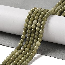 Natural Alashan Agate Beads Strands, Round, 4mm, Hole: 0.9mm, about 103pcs/strand, 15.55''(39.5cm)(G-P530-B05-01)