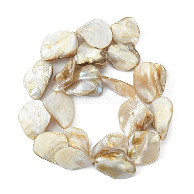 Main naturelle shell perles brins(X-PBB471-1)-2