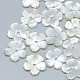 Natural White Shell Beads(SSHEL-S260-009)-1