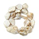 Handmade Natural Shell Beads Strands(X-PBB471-1)-2