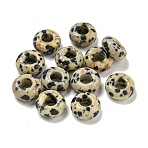Natural Dalmatian Jasper Beads, Rondelle, 10x4.5mm, Hole: 3.5mm(X-G-Q173-03A-24)