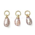 Natural Cultured Freshwater Pearl Pendants, Rice Charms with Brass Loops, Thistle, Golden, 10x4.5mm, Jump Ring: 5x0.8mm, Inner Diameter: 3.5mm(PALLOY-JF05301-01)