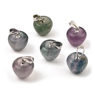 Natural  Fluorite Teacher Apple Charms, with Platinum Plated Brass Snap on Bails, 14.5x14mm, Hole: 6.5x4mm(G-Z022-02A-P)