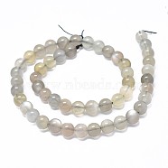 Natural Grey Moonstone Beads Strands, Round, 8mm, Hole: 0.8mm, about 49~50pcs/strand, 15.7 inch(40cm)(G-F632-24-03)