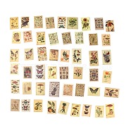 50Pcs 50 Styles PVC Plastic Plant Decorative Stickers Sets, Waterproof Adhesive Decals for DIY Scrapbooking, Photo Album Decoration, Rectangle, Mixed Patterns, 56~70x41~50x0.1mm, 1pc/style(STIC-P004-29)