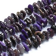 Natural Charoite Beads Strands, Chips, 8~12x7~10x2~3mm, Hole: 1mm, about 85pcs/strand, 15.55''(39.5cm)(G-K245-H10-02)