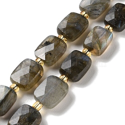 Natural Labradorite Beads Strands, Faceted, Rectangle,  with Seed Beads, 10x8x4.5mm, Hole: 1mm, about 31pcs/strand, 15.35''(39cm)(G-H061-A01-01)