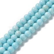 Natural Howlite Beads Strands, Dyed, Round, 6.5mm, Hole: 1mm, about 64pcs/strand, 15.71~15.79''(39.9~40.1cm)(G-E604-B02-A)