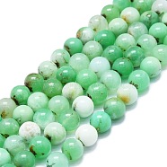 Natural Chrysoprase Beads Strands, Round, 8~9mm, Hole: 0.8mm, about 48~52pcs/strand, 15.35''~16.54''(39~42cm)(G-K245-A12-05)