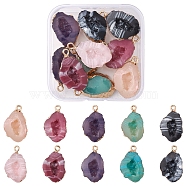 10Pcs 5 Colors Druzy Geode Resin Pendants, with Edge Light Gold Plated Iron Loops, Nuggets, Mixed Color, 25~26x15x7mm, Hole: 1.8mm, 2pcs/color(RESI-YW0001-47)