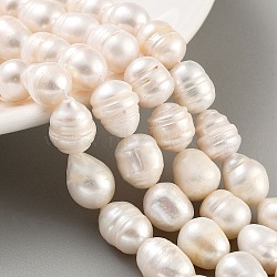 Natural Cultured Freshwater Pearl Beads Strands, Grade AB, Rice, Antique White, 10~11mm, Hole: 0.7mm, about 15pcs/strand, 6.69~7.09''(17~18cm)(PEAR-P062-12B)