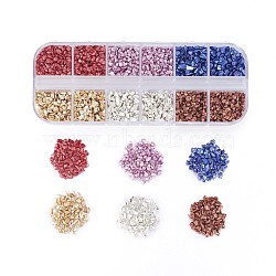 FGB Plated Glass Seed Beads, For Nail Art Decoration Accessories, No Hole/Undrilled, Chips, Mixed Color, 2~3mm, 6colors, 10g/color, 60g/box(SEED-JP0007-04)