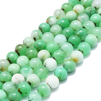 Natural Chrysoprase Beads Strands, Round, 8~9mm, Hole: 0.8mm, about 48~52pcs/strand, 15.35''~16.54''(39~42cm)