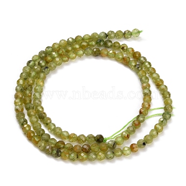 Natural Peridot Beads Strands(GG-CBA753B-A04-3mm)-4