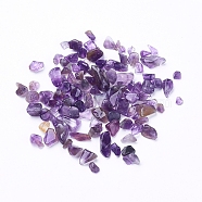 Natural Amethyst Chip Beads, No Hole, 4x3mm(X-G-G714-01)