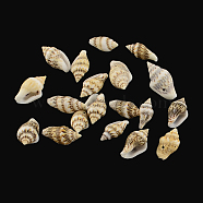 Spiral Shell Charm Pendants, Pale Goldenrod, 13~19x6~10x6~7mm, Hole: 1mm, about 1485pcs/500g(SSHEL-R036-17)