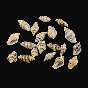 Spiral Shell Charm Pendants, Pale Goldenrod, 13~19x6~10x6~7mm, Hole: 1mm, about 1485pcs/500g
