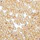 Glass Seed Beads(X1-SEED-H002-A-A611)-3