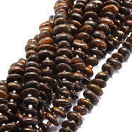 Natural Bronzite Beads Strands, Nuggets, 8~11x9~14x1.5~5mm, Hole: 0.8mm, about 74pcs/strand, 15.55''(39.5cm)(G-E569-J07)