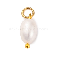 5Pcs Natural Cultured Freshwater Pearl Potato Charms, with Golden Tone 304 Stainless Steel Open Jump Rings, Seashell Color, 13x6x6mm, Hole: 3mm(PALLOY-JF02954)